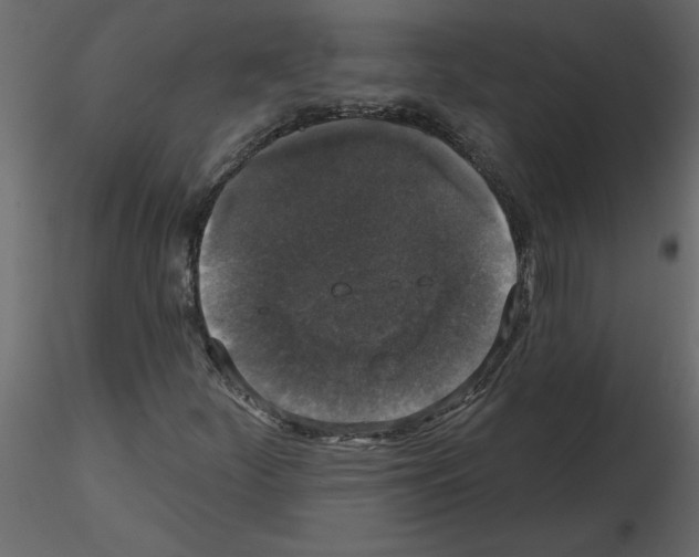 X0000115671252200912241412