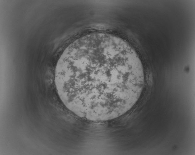 X0000115671253200912241412