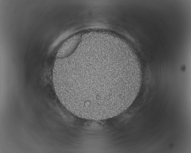 X0000115671255200912241412