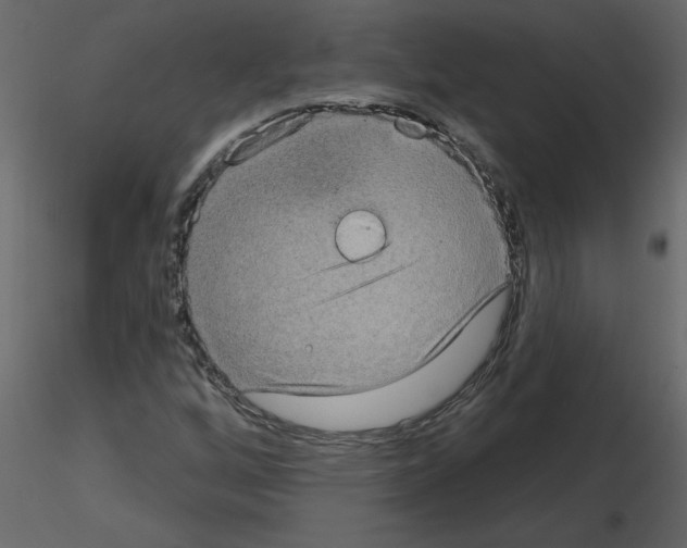 X0000115671256200912241412