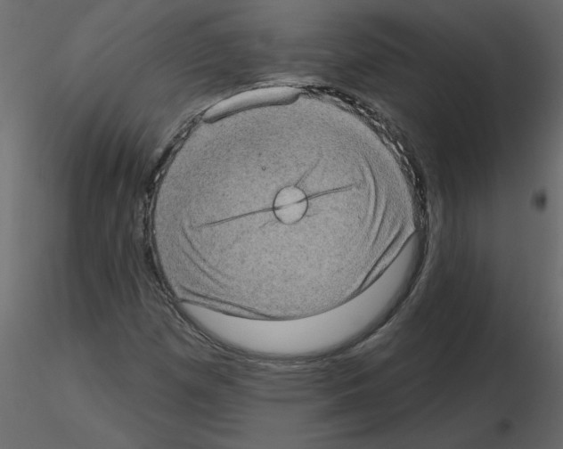 X0000115671257200912241412