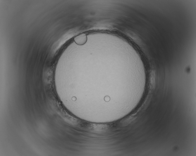 X0000115671258200912241412