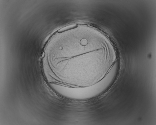 X0000115671260200912241412