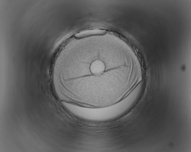 X0000115671261200912241412