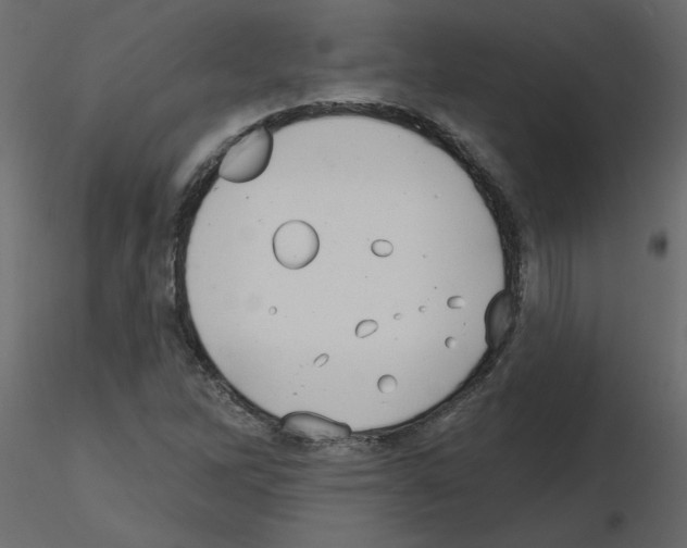 X0000115671262200912241412