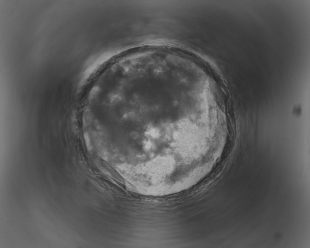 X0000115671263200912241412