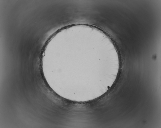 X0000115671264200912241412