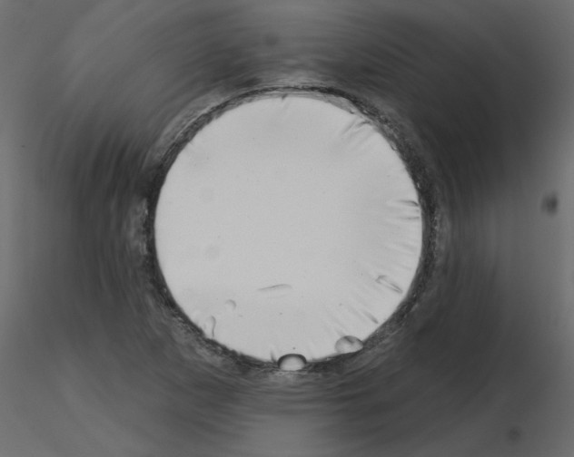 X0000115671265200912241412