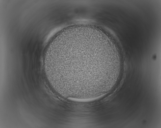 X0000115671267200912241412