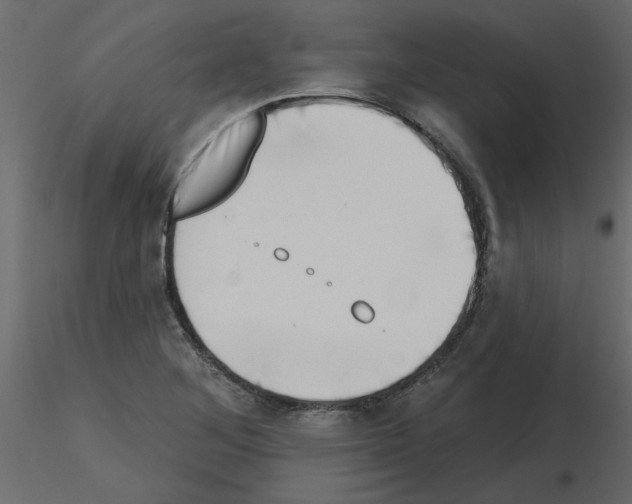 X0000115671268200912241412