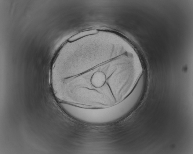 X0000115671269200912241412