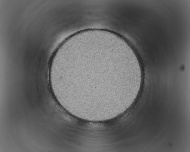 X0000115671270200912241412