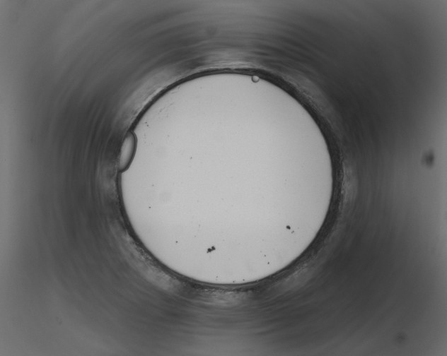 X0000115671273200912241412