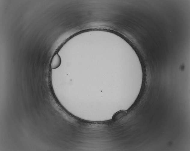 X0000115671277200912241412