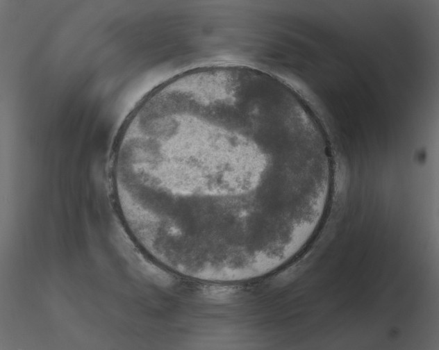 X0000115671278200912241412