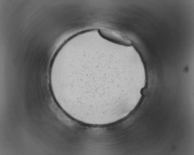 X0000115671280200912241412