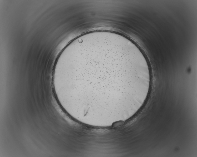 X0000115671282200912241412