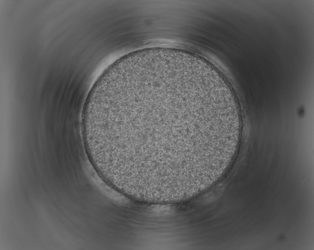 X0000115671283200912241412