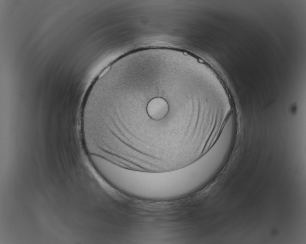 X0000115671285200912241412