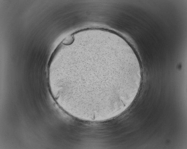 X0000115671287200912241412