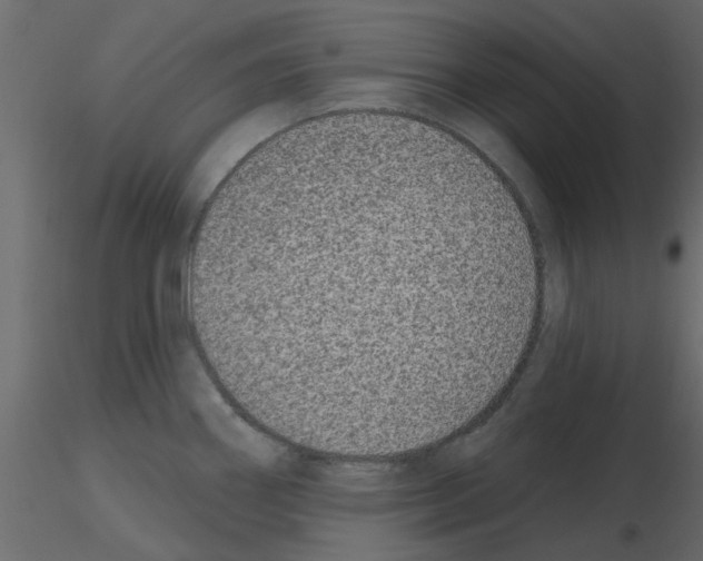 X0000115671290200912241412