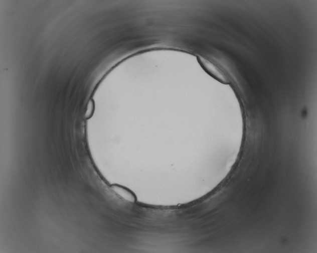 X0000115671292200912241412