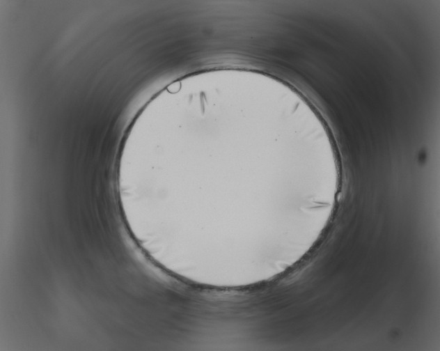 X0000115671293200912241412