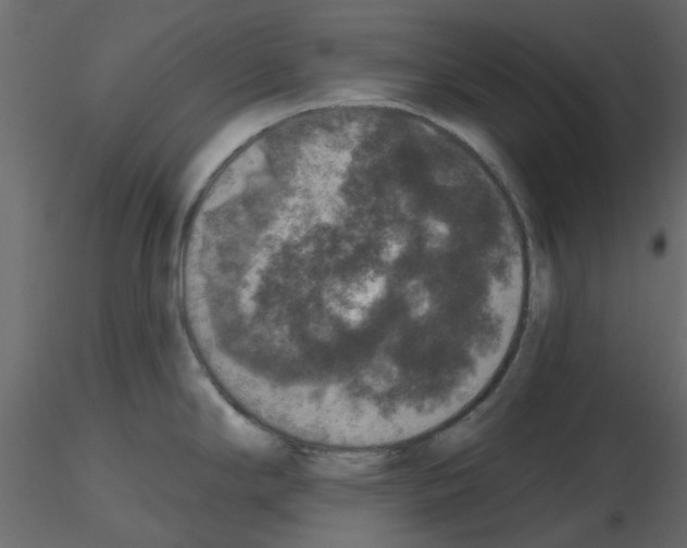 X0000115671294200912241412