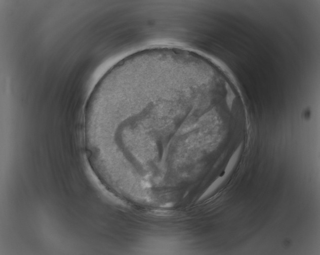 X0000115671295200912241412