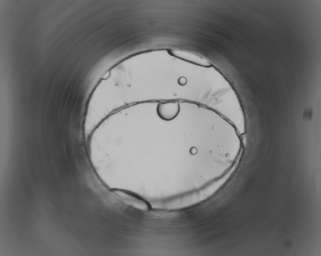 X0000115671296200912241412