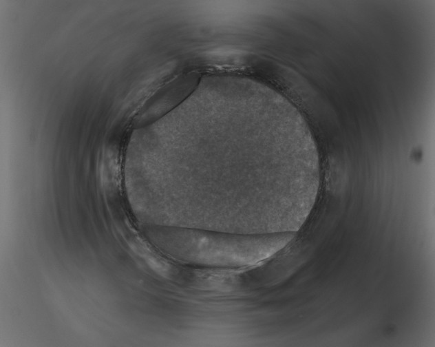 X0000115671298200912241411