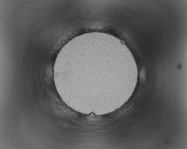 X0000115671299200912241411