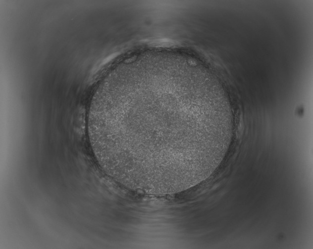 X0000115671301200912241411