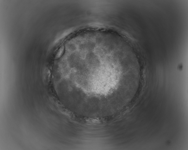 X0000115671302200912241411