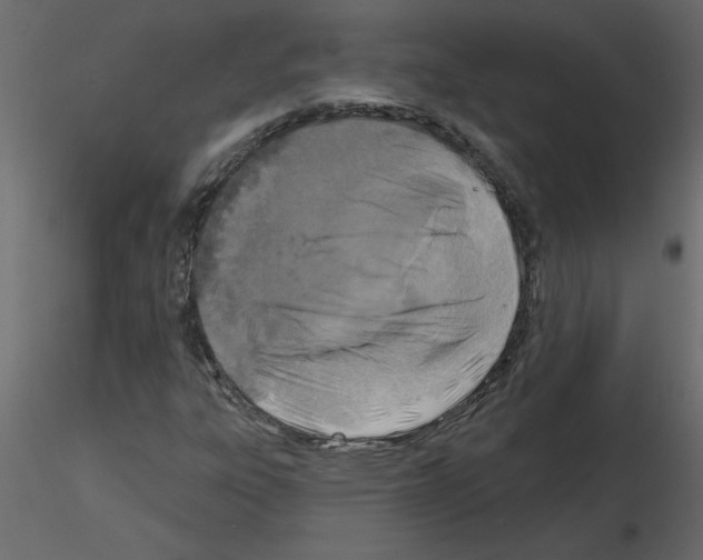 X0000115671303200912241411