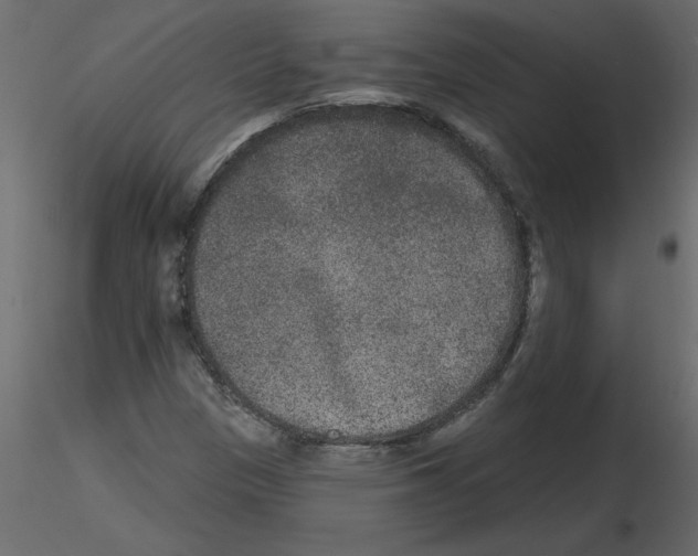 X0000115671305200912241411