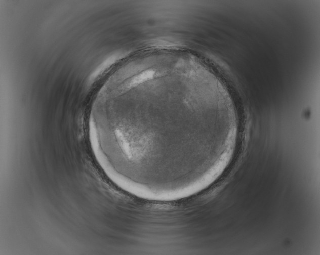 X0000115671306200912241411