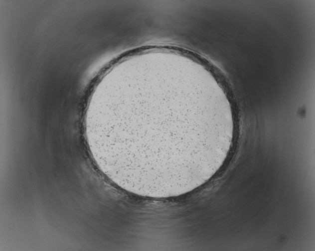 X0000115671311200912241411