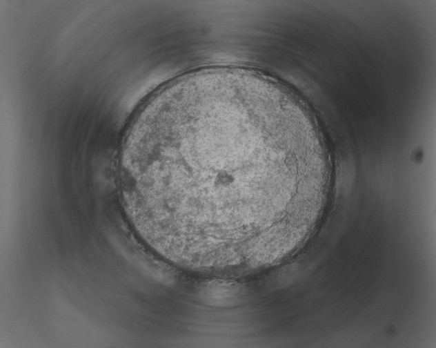 X0000115671314200912241411