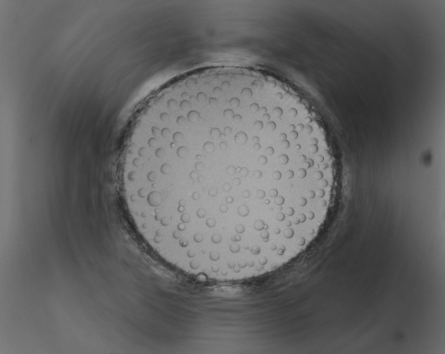 X0000115671315200912241411