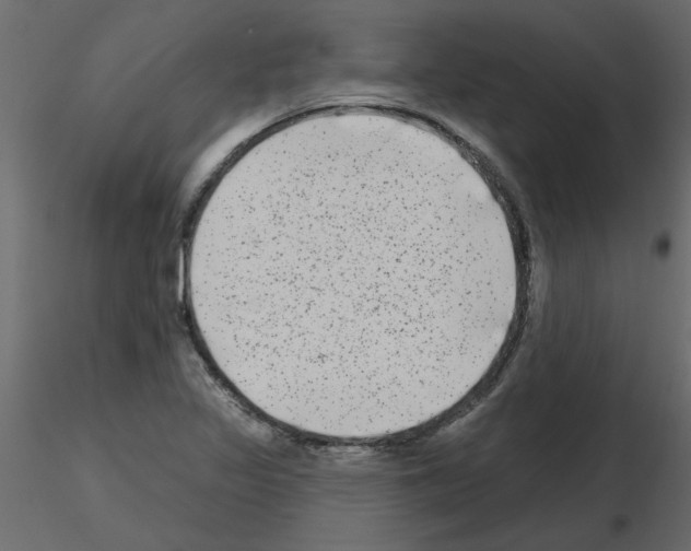 X0000115671317200912241411