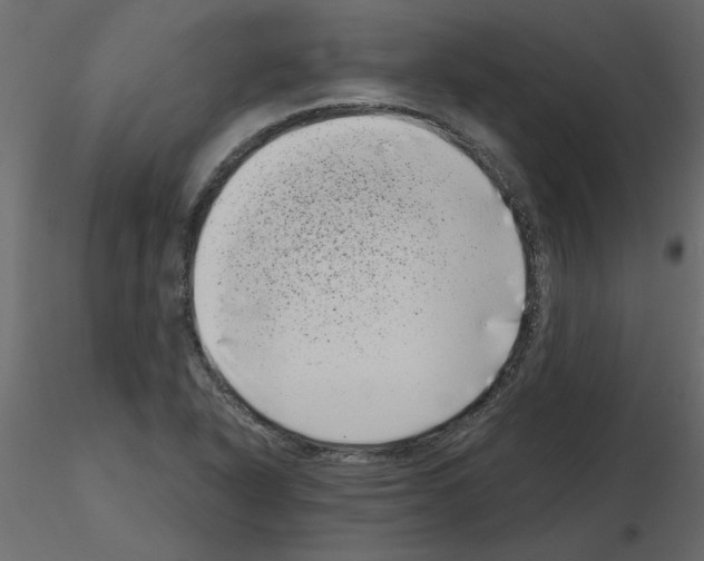 X0000115671318200912241411