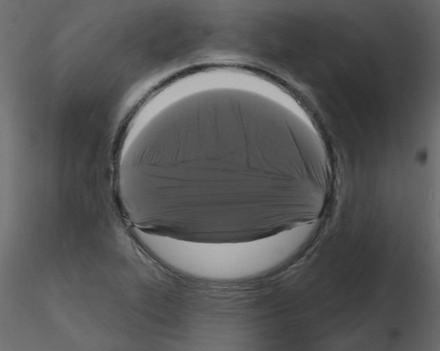 X0000115671319200912241411