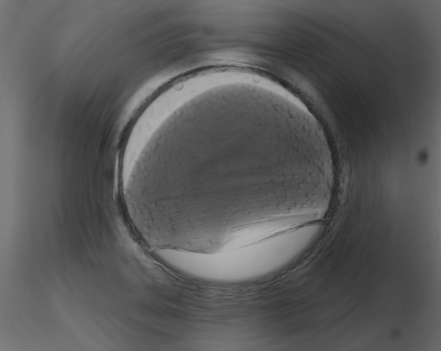 X0000115671323200912241411