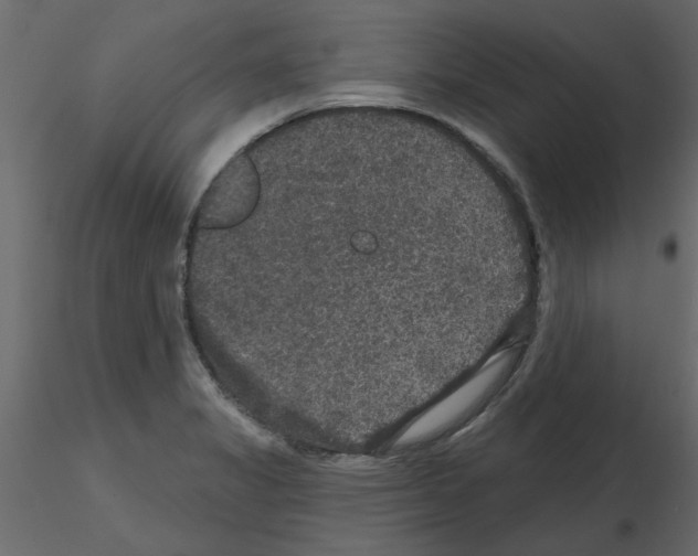 X0000115671325200912241411