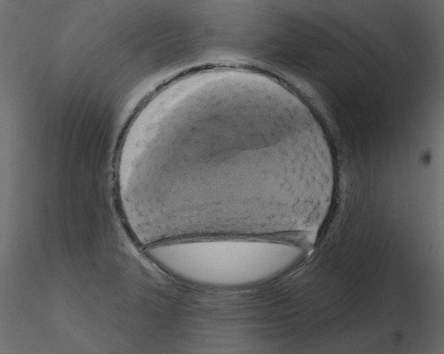 X0000115671327200912241411