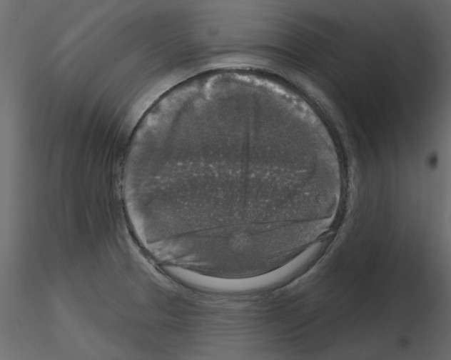 X0000115671329200912241411