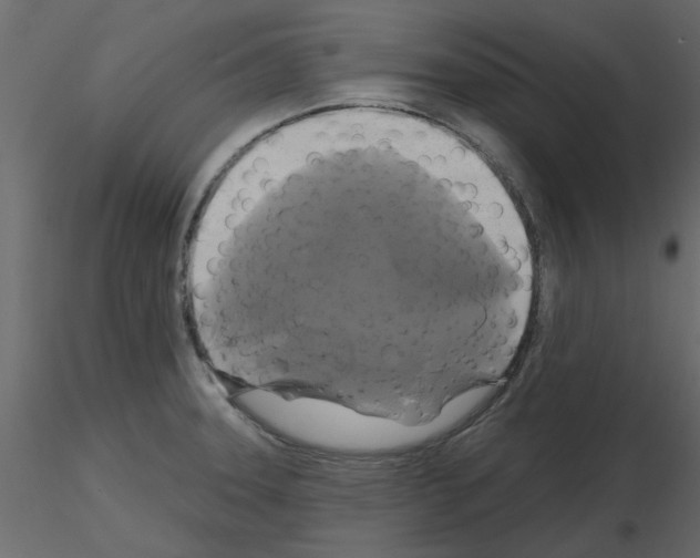 X0000115671331200912241411