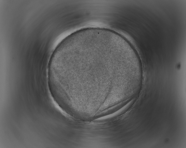 X0000115671335200912241412