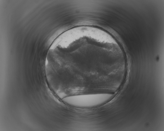 X0000115671337200912241412